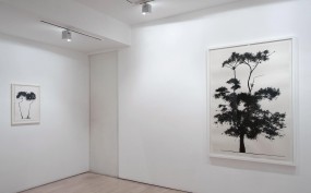 HannahMaybank_GimpelFils_2010_3