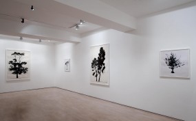 HannahMaybank_GimpelFils_2010_1