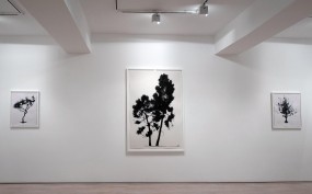 HannahMaybank_GimpelFils_2010_2
