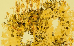 FP_final_detail