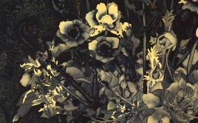 IW_final_detail_II