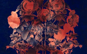 A-study-of-angela_detail-web