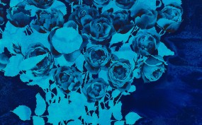 Adeline_detail_web