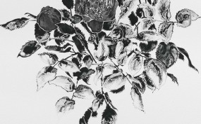 Daphne_detail_web